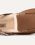 UGG Goldenstar Evelina Clog