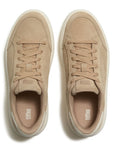 Trenton FitFlop RTG Suede Snake Lace-Up Sneakers Anatomicush
