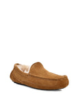 UGG UGG Ascot Slippers