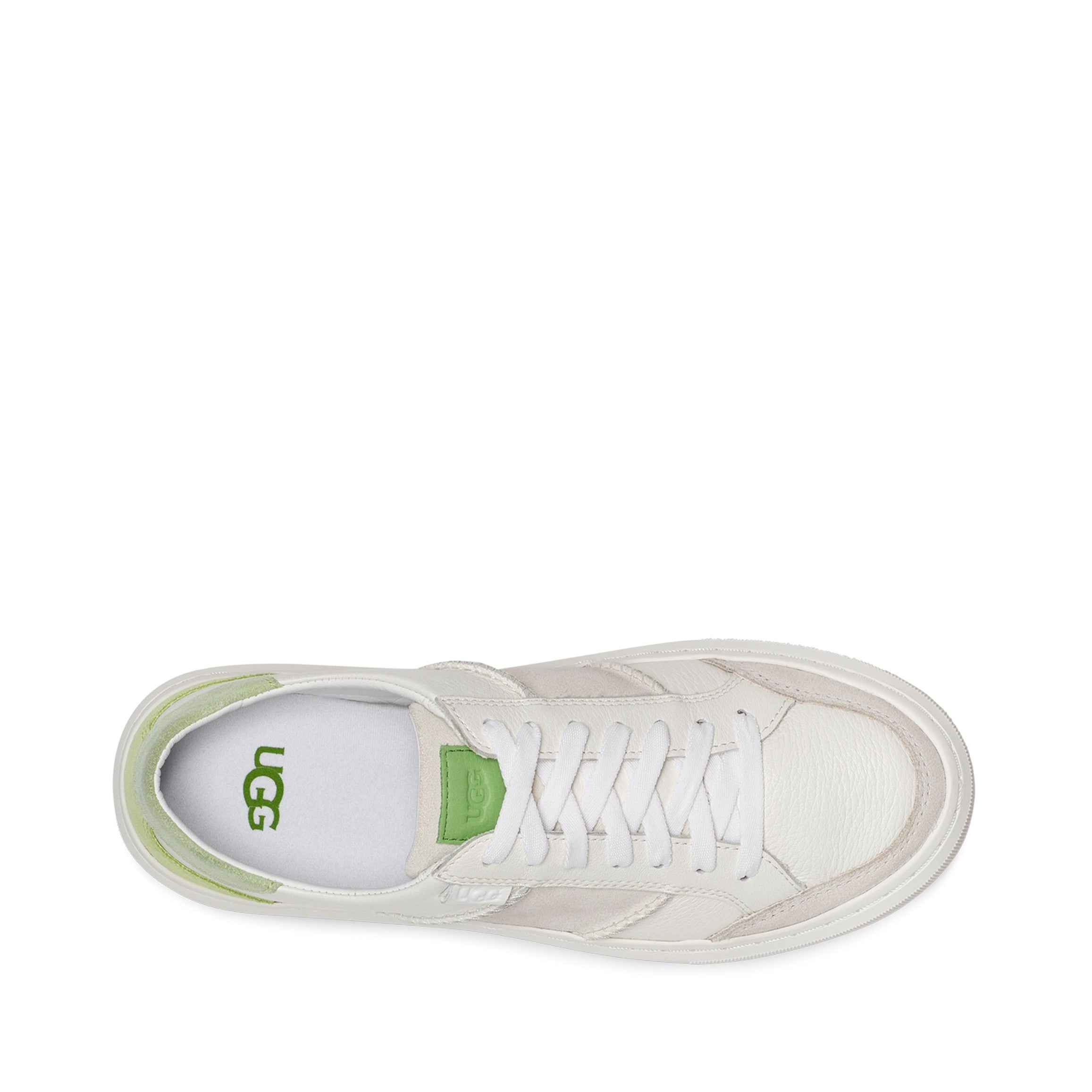 Sample UGG Alameda Lace Sneaker   