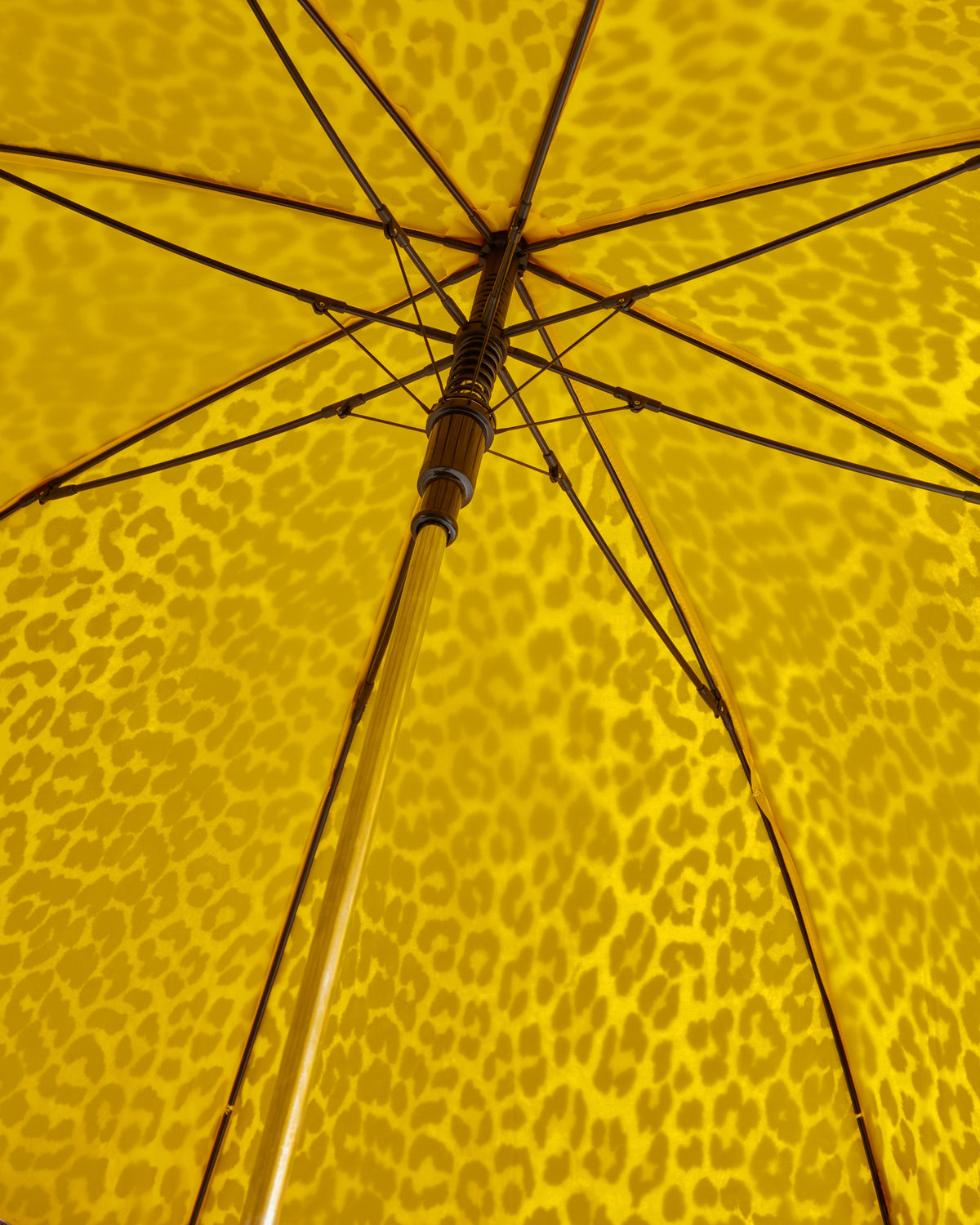 Hunter X GANNI Umbrella